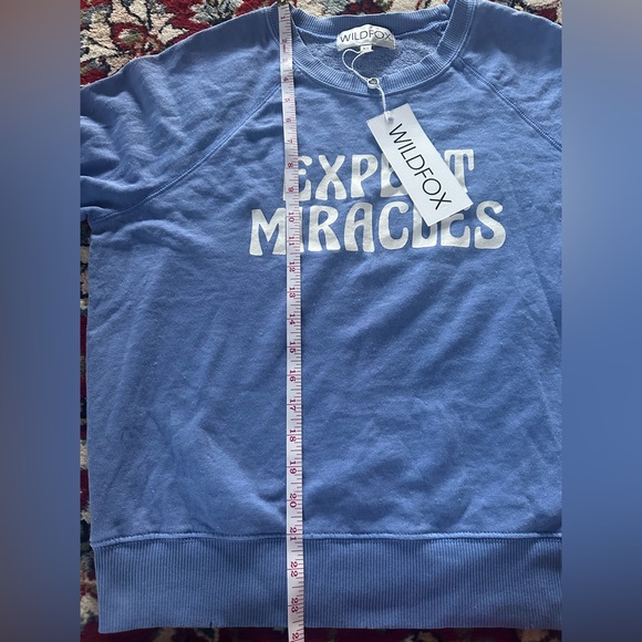 Soft blue WILDFOX Sweatshirt - Picture 9 of 9